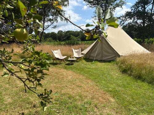 Gallery image of Boutique tent bij Laaken op Zand unieke plek in het groen met luxe bed in Vorden