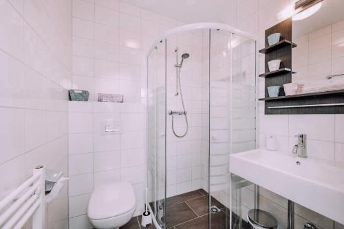 a bathroom with a shower and a toilet and a sink at Das Luis in Altenmarkt im Pongau