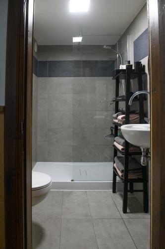 a bathroom with a shower and a toilet and a sink at Les HerbesFolles de Oizy in Oizy