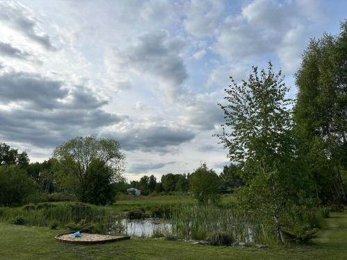 a field with a pond and a cloudy sky at Siedlisko Kępina Zdrój in Ostrów