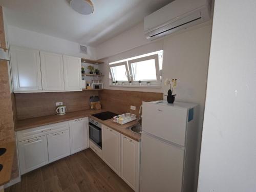 Η κουζίνα ή μικρή κουζίνα στο Apartmani Borovac Šparadići
