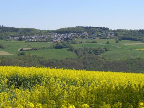 a yellow rapeseed field with a village in the distance at Ferienhaus Koppenstein in Schwarzerden