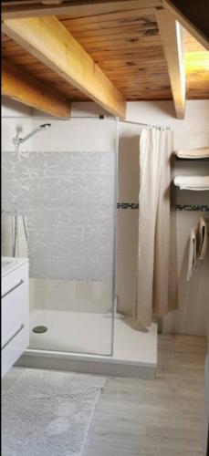 une salle de bain avec une douche avec une porte vitrée dans l'établissement Appartement Cosy à 2 pas des Caves Basilique, à Reims