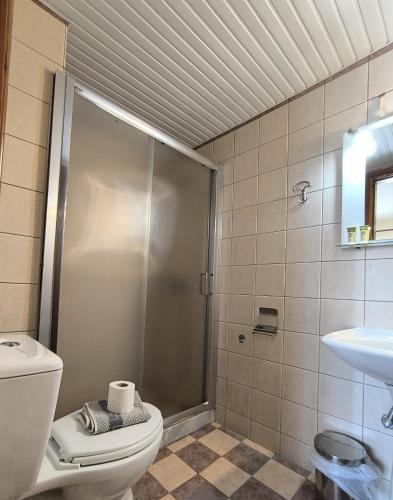 a bathroom with a shower and a toilet and a sink at Eirini's Hause in Nea Moudania
