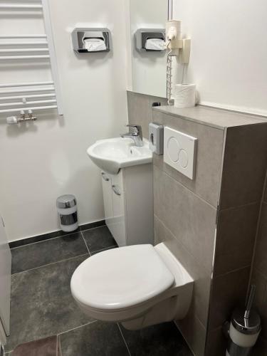a bathroom with a toilet and a sink at Zum Feti Hotel und Restaurant in Rüdesheim am Rhein