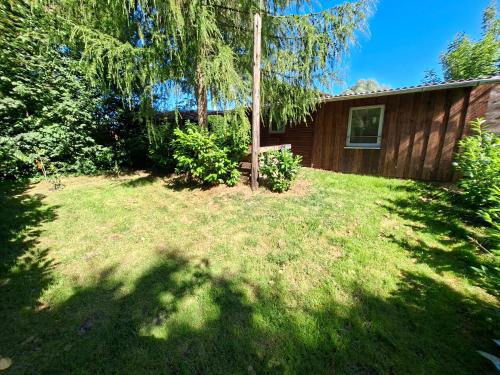 a yard with a house and a tree at Rauszeit-Balje in Balje