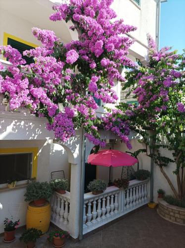 Apartments Vodice Marica