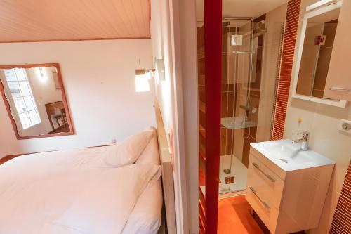1 dormitorio con cama, ducha y lavamanos en Gîte Ainerak, en Sainte Engrace