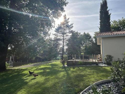 Κήπος έξω από το Le ch'ti gite landais