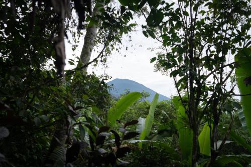 Paisaje cerca de este tented camp