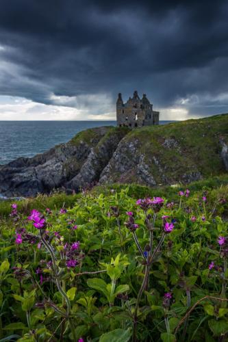 a castle on top of a hill with flowers at Thornbank House in Stranraer