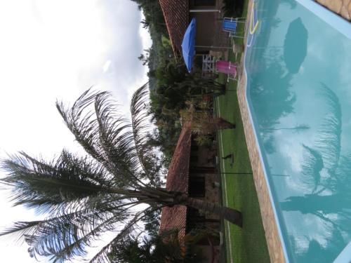 an overhead view of a swimming pool with a palm tree at Pousada Recanto do João de Barro in Conservatória