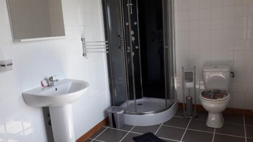 une salle de bain avec un lavabo, une douche et des toilettes dans l'établissement La Maison en Cézallier - Purple, à Marcenat