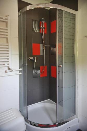 a shower with a glass door in a bathroom at Domek nad Solinką in Bukowiec