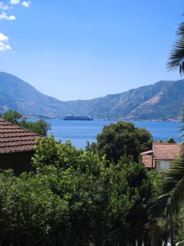 a view of a large body of water with mountains at Meditation in Kotor