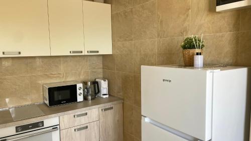 a kitchen with a white refrigerator and a microwave at Seafront apartments in Bigovo