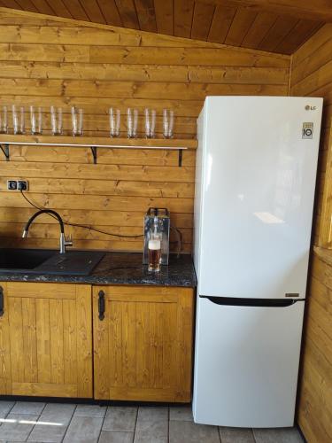 a kitchen with a white refrigerator and a counter at Chalupa Herbortice in Cotkytle