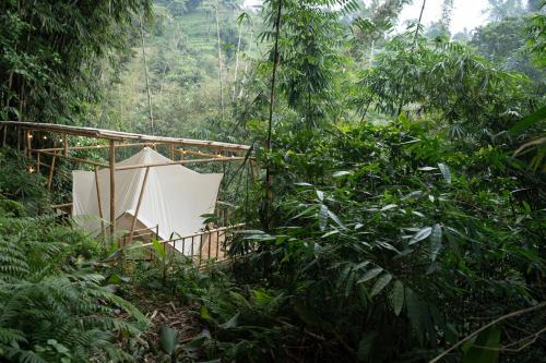 Jardín al aire libre en Nysa Forest Sanctuary