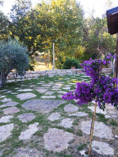 a plant with purple flowers in the middle of a yard at Fattoria F.lli Marsolo in Chiusa Sclafani