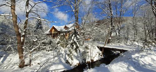 a cabin in the woods in the snow at Beskid Masala in Ropki