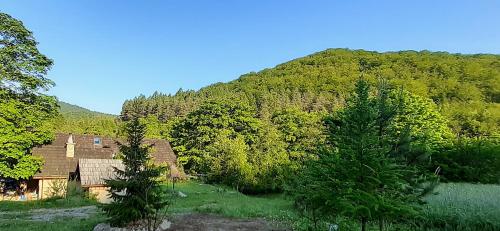 a house in the middle of a forest of trees at Beskid Masala in Ropki