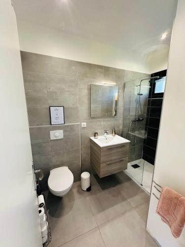 une salle de bain avec toilettes, lavabo et douche dans l'établissement N4 Maison T2 climatisé, à Ajaccio