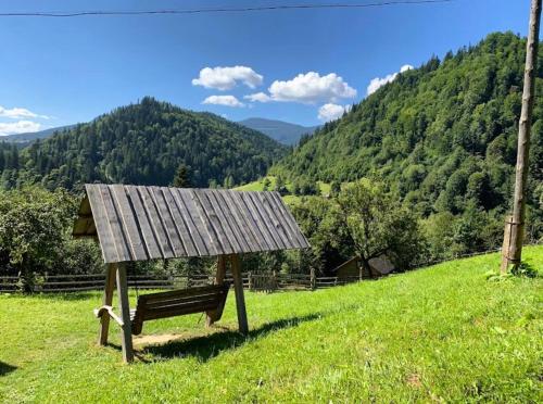 a bench in a field with a view of a mountain at Котедж Ксенія in Dzembronia