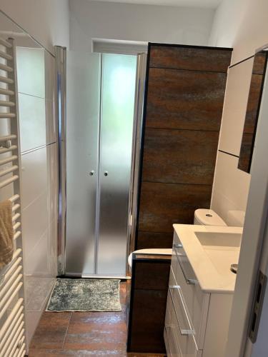 een badkamer met een douche en een wastafel bij Maison du F'Or in Huningue