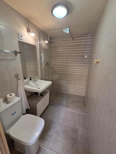 Un baño con inodoro, lavabo y ducha. en Downtown Apartman - Friends, en Győr