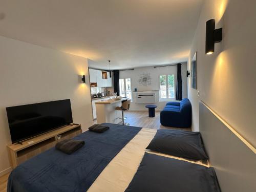 普罗旺斯艾克斯Le Nid des Cardeurs studio cosy centre historique的一间卧室，里面有一张床和一台平板电视