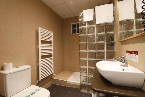 a bathroom with a toilet and a sink and a shower at Hotel Blu Aran in Vielha