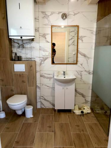 a bathroom with a toilet and a sink and a mirror at Staś in Zarzecze