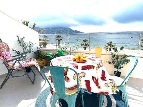 Roses Holiday Center 2408