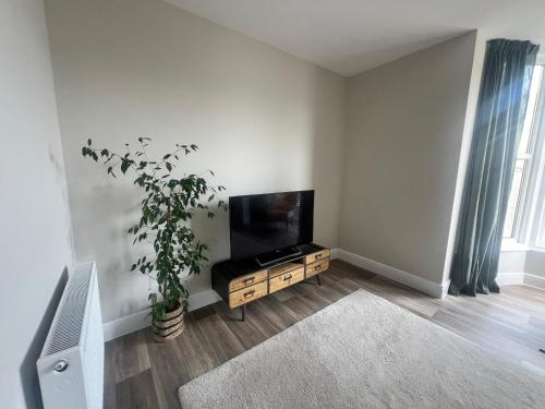 sala de estar con TV y maceta en The Meads, en Ilfracombe
