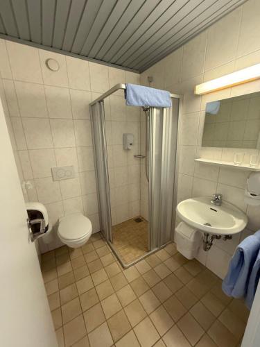 a bathroom with a shower and a toilet and a sink at Zur Post Wellness und Sporthotel in Tännesberg