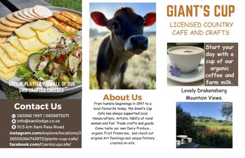 a flyer for a cow and a cup of coffee at Sani Lodge & Cottages in Sani Pass