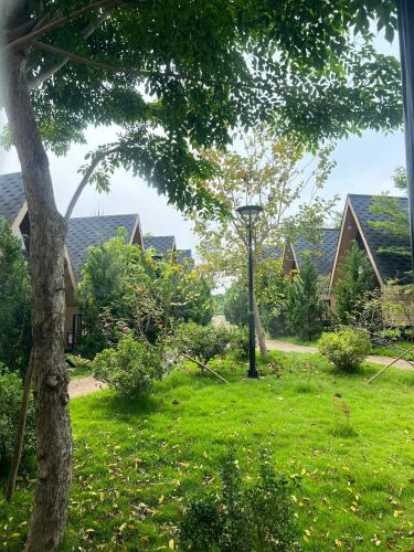 Κήπος έξω από το Cao Phong Glamping