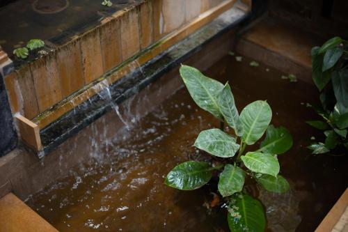 a water fountain with a plant in it at Kerala Style Villa by JadeCapsAC4BHKFishpond in Yelahanka