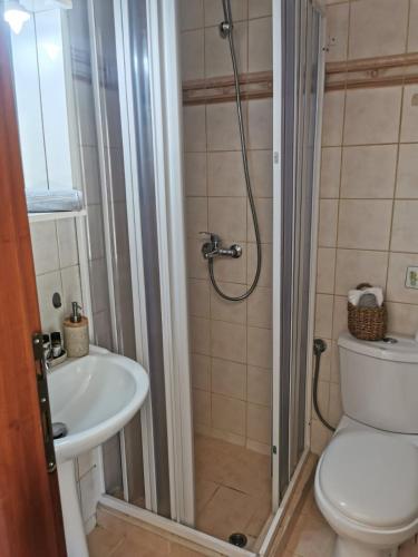 a bathroom with a shower and a toilet and a sink at Sunny Patio Studio Corfu ! in Alepou