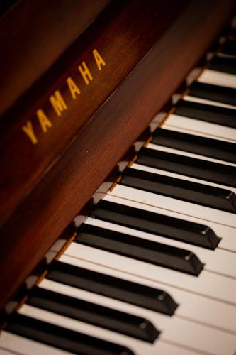 a close up of a piano keyboard at Taosa - baskeyrentals in Zumaia
