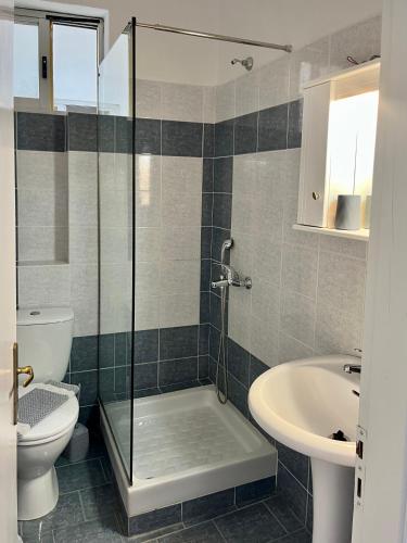 a bathroom with a shower and a toilet and a sink at Hotel Asteras in Ammoudia