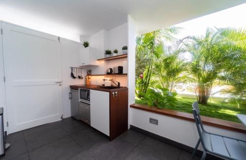 Kuchyň nebo kuchyňský kout v ubytování Best Flat in Corossol with Ocean Views