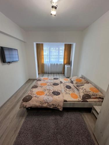 a bedroom with a large bed with a rug at Cazare Herculane in Băile Herculane