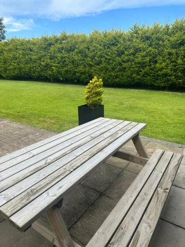 Gambar di galeri bagi St Ronans Cottages di Duffstown