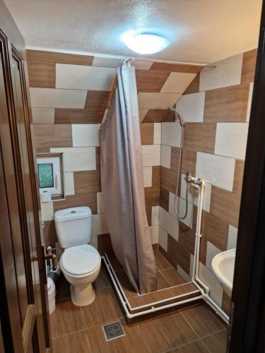 a bathroom with a toilet and a shower and a sink at Casa Chindea Lacu Rosu in Lacu Rosu