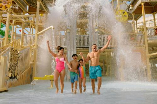 Gaylord Palms Resort & Convention Center photo 58