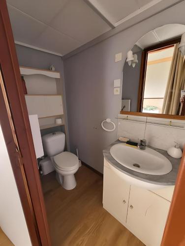 une salle de bain avec un lavabo, des toilettes et un miroir dans l'établissement Entre Pierre et Bois, à Ore