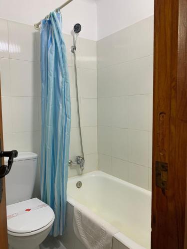 a bathroom with a toilet and a blue shower curtain at Hotel Playa in Mojácar