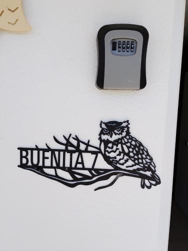 a clock on a wall with a bird on a branch at Casutele verzi din Ocnele Mari in Ocnele Mari