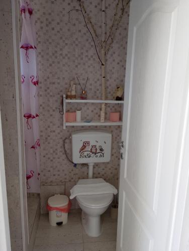 a small bathroom with a toilet and a pink curtain at Casutele verzi din Ocnele Mari in Ocnele Mari
